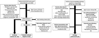 Evaluation of multiple consensus criteria for autoimmune encephalitis and temporal analysis of symptoms in a pediatric encephalitis cohort